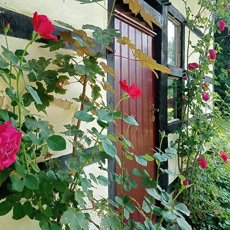 Bnb Het Geluk Van Limburg Mechelen Zewnętrze zdjęcie