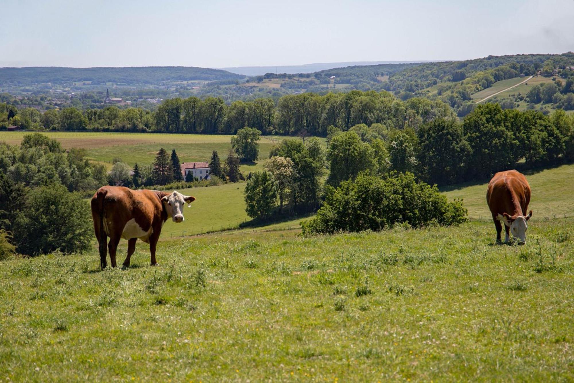 Bnb Het Geluk Van Limburg Mechelen Zewnętrze zdjęcie