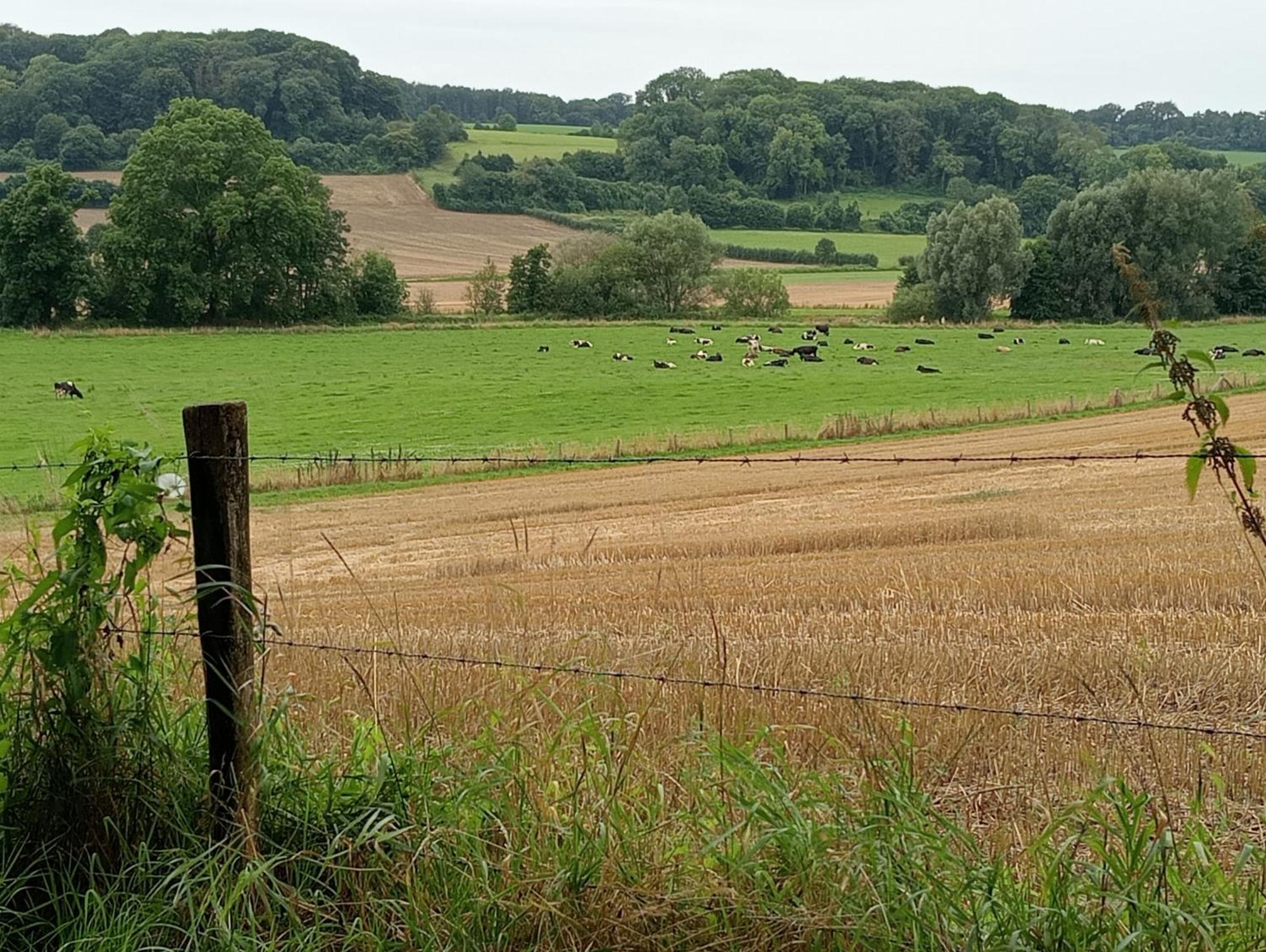 Bnb Het Geluk Van Limburg Mechelen Zewnętrze zdjęcie