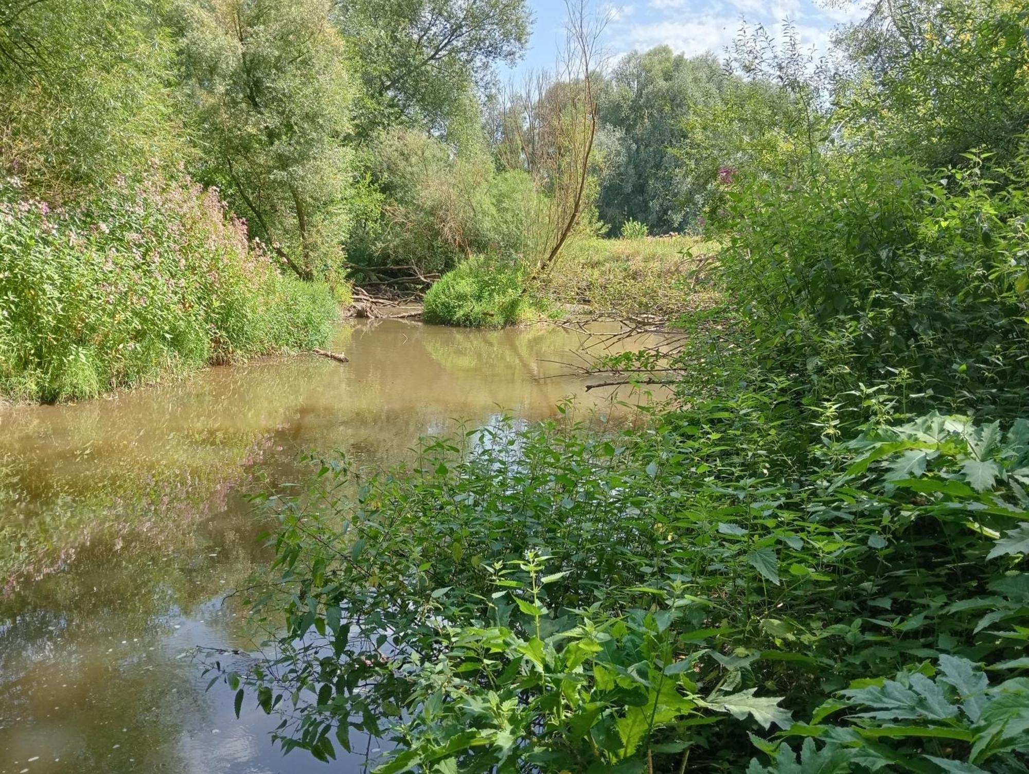 Bnb Het Geluk Van Limburg Mechelen Zewnętrze zdjęcie